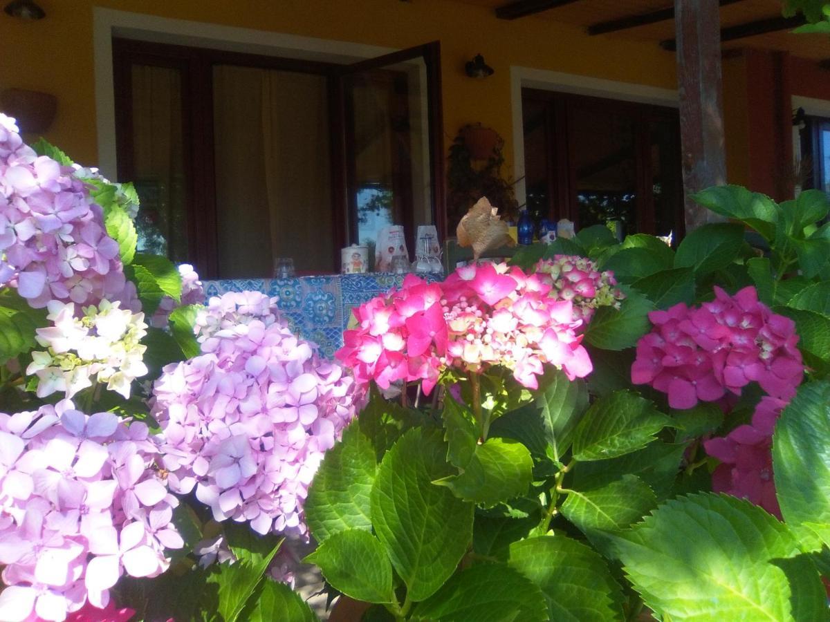 B&B Casa Per Ferie Villaggiocarovana Castiadas Buitenkant foto