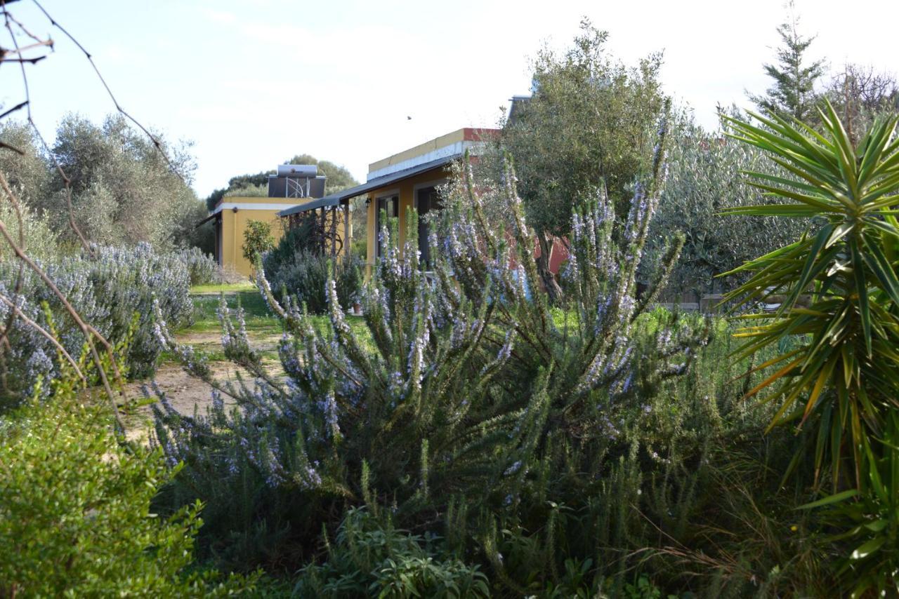 B&B Casa Per Ferie Villaggiocarovana Castiadas Buitenkant foto