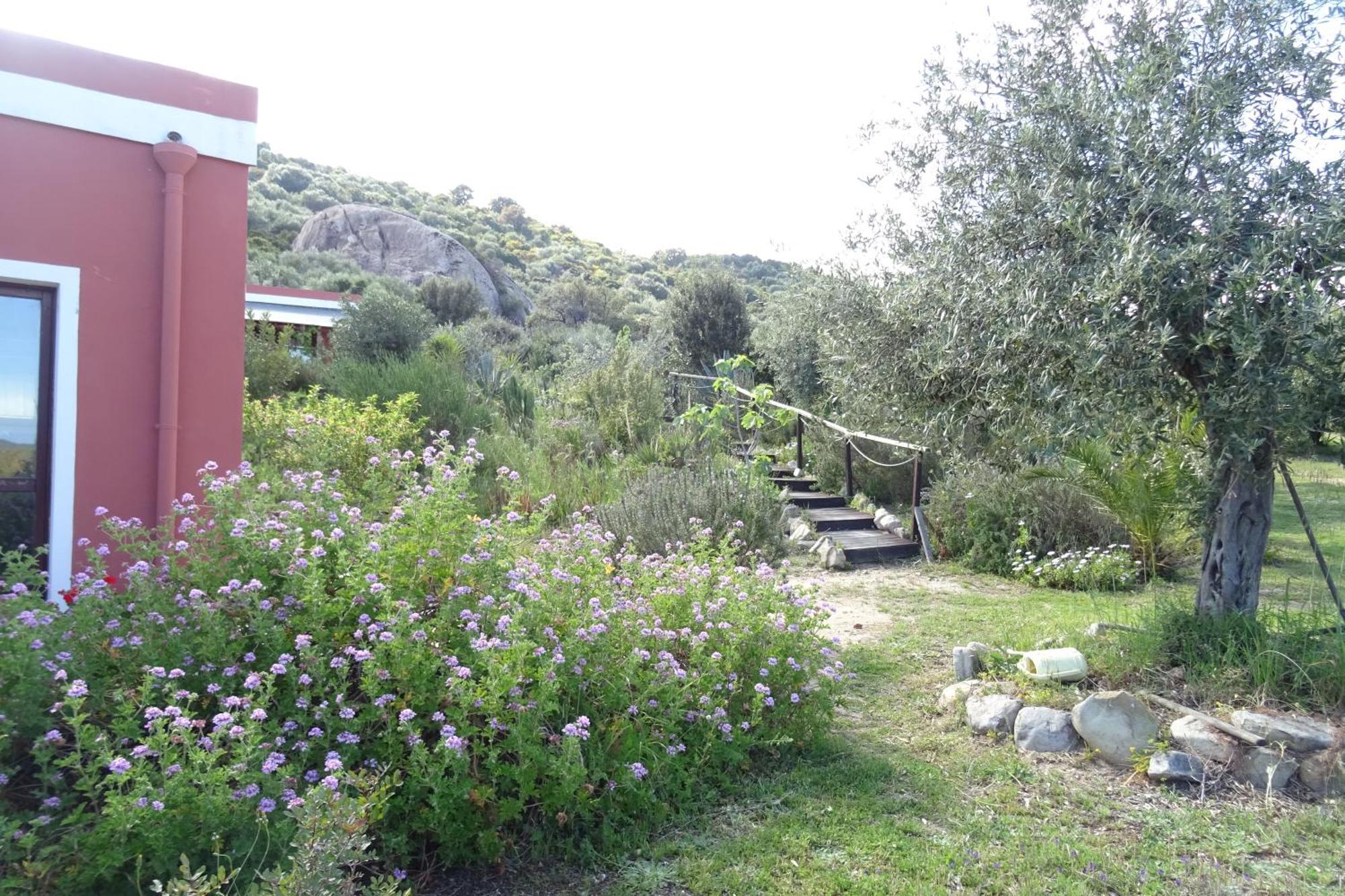 B&B Casa Per Ferie Villaggiocarovana Castiadas Buitenkant foto