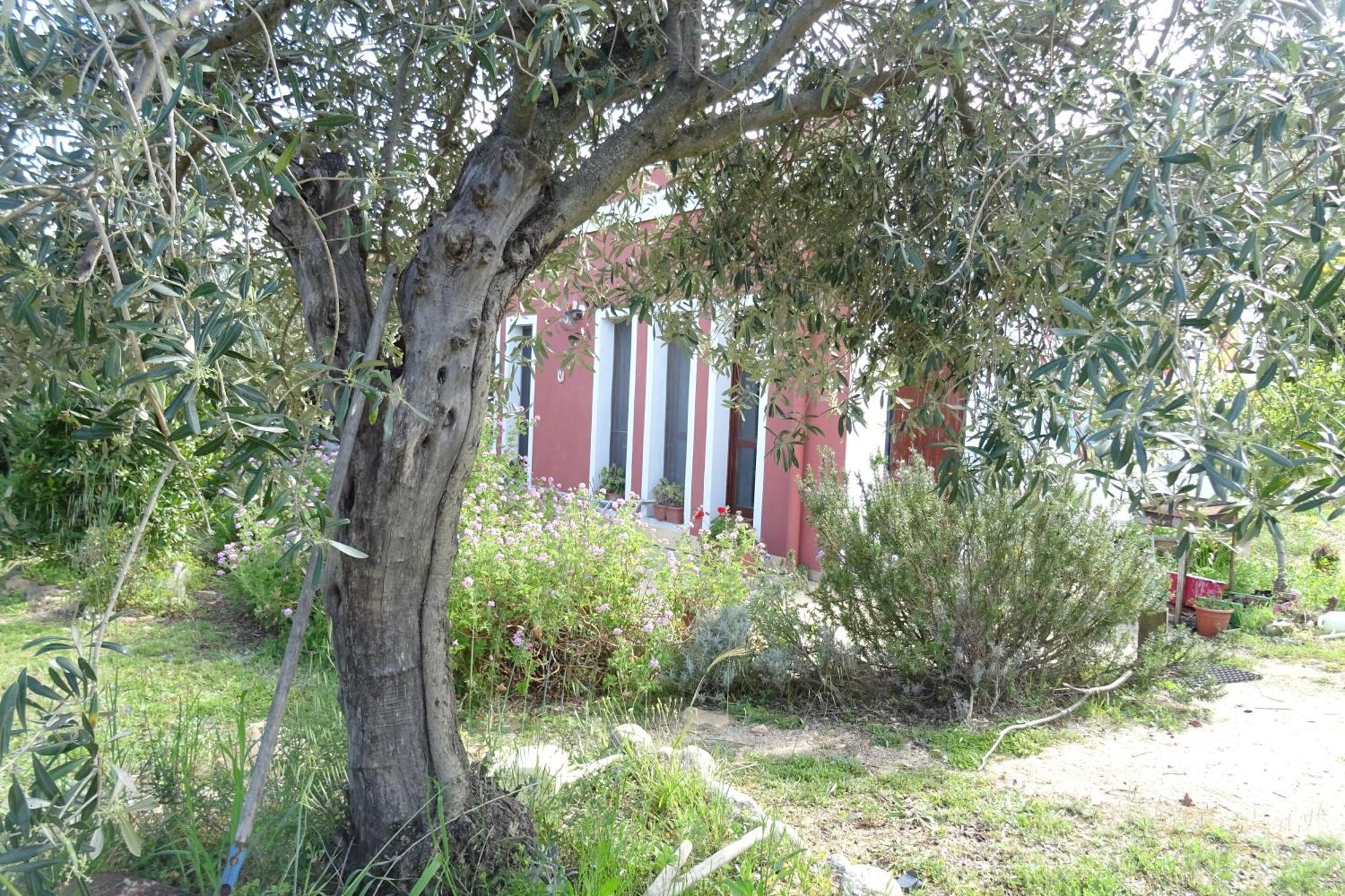 B&B Casa Per Ferie Villaggiocarovana Castiadas Buitenkant foto