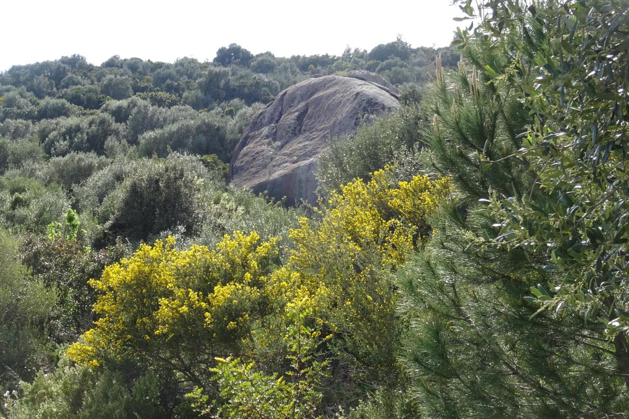 B&B Casa Per Ferie Villaggiocarovana Castiadas Buitenkant foto